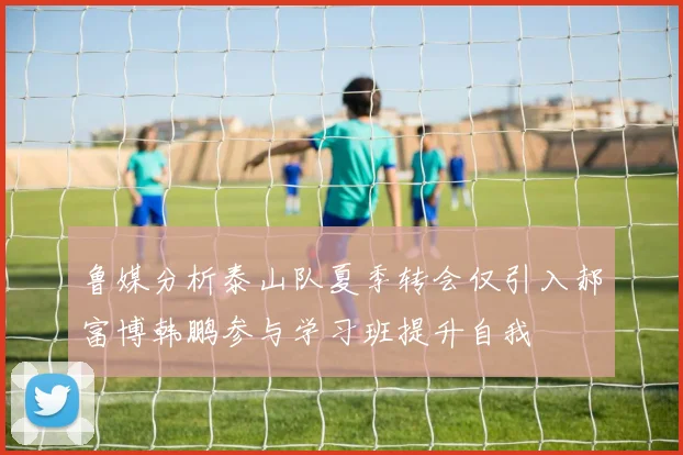 鲁媒分析泰山队夏季转会仅引入郝富博韩鹏参与学习班提升自我