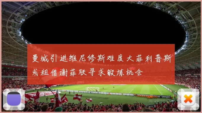 曼城引进维尼修斯难度大菲利普斯或租借谢菲联寻求锻炼机会