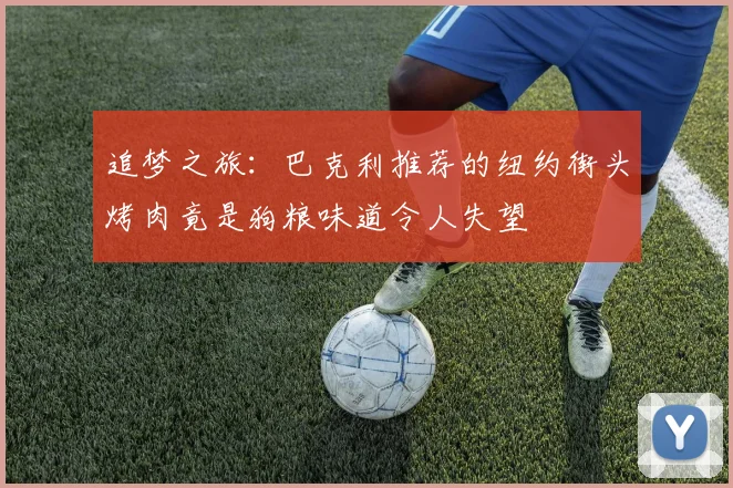 追梦之旅：巴克利推荐的纽约街头烤肉竟是狗粮味道令人失望